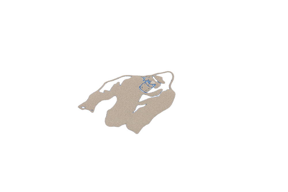 Cheyenne T-shirt - Blue
